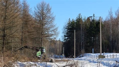 Finland starts construction of Russia border fence - The Capital Post