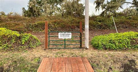 Natural burials could change how we say goodbye to the dead - CNET