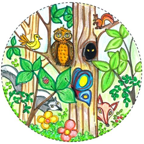 biodiversity drawing competition ideas for kids | Drawing competition, Drawings, Pictures to draw