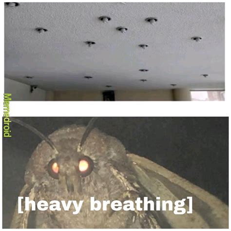 Moth meme - Meme by TheFlyingDman :) Memedroid