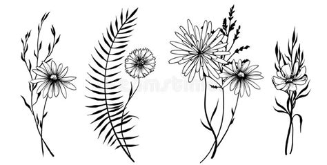 Set of Black and White Floral Arrangements. Stock Illustration - Illustration of herbarium ...