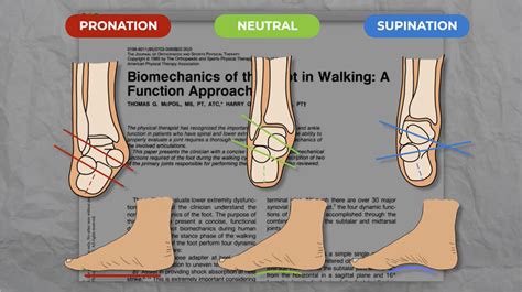 Blog | Exercising Health | Barefoot Strength