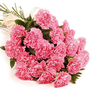 Bouquet Bridal: Pink Carnation Bouquets