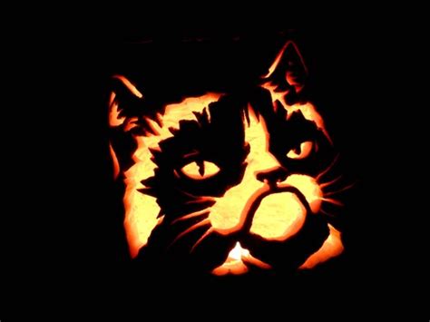 Halloween - Grumpy Cat - Halloween memes - Cheezburger