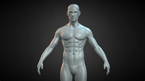 Male-character 3D models - Sketchfab