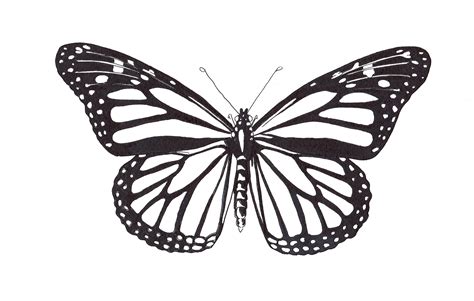 papillon dessin - Recherche Google Holy Tattoos, Photo Papillon, Bead Crafts, Arts And Crafts ...