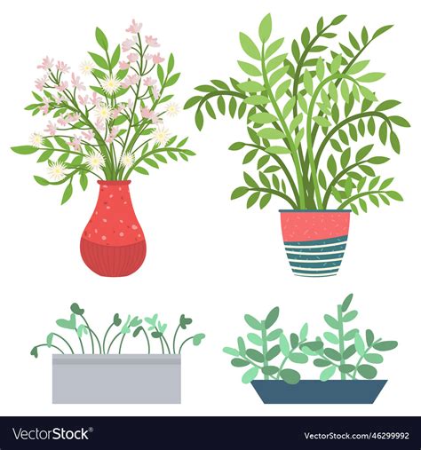 Houseplant in vases flowers with flourishing Vector Image