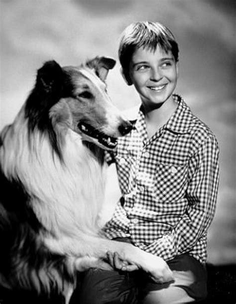 Tommy Rettig