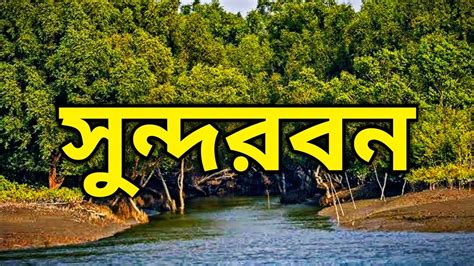 A Day in Sundarban | Sundarban Boat Safari in a Rainy Day | Whole Day ...