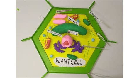 25 Creative Plant Cell Project Ideas - Theresa Reviews