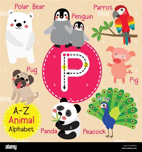 Animals With Letter P