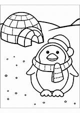 Penguin And igloo  Penguins Coloring Pages sketch template