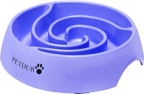 Amazon.com: puzzle food bowl for dogs