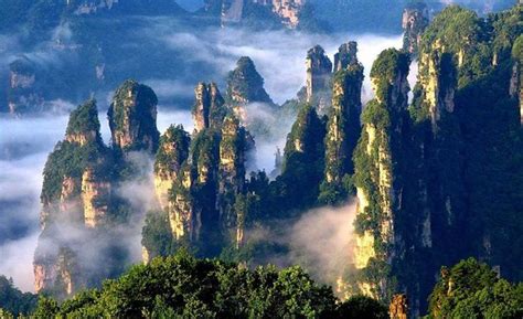 Zhangjiajie National Forest Park : 2020 Ce qu'il faut savoir pour votre visite - TripAdvisor