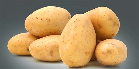 Variety Rulemaking for Idaho Non-russet Varieties – Potato Business