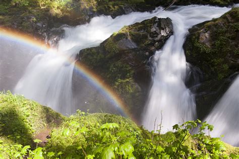 Olympic National Park in Washington: A Travel Guide