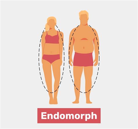 Endomorph Body Type: Characteristics & Diet (w/ Meal Plans) - Tua Saúde