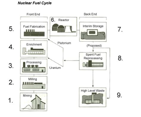 (Light Water Reactors)