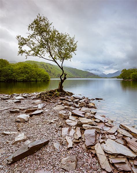 Llyn Padarn (1)