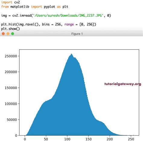 Python Matplotlib Pyplot Hist Returns A Histogram Where All Bins Have ...