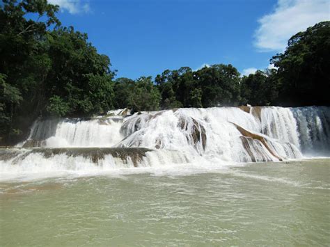 Palenque Waterfalls: 6 Beautiful Cascadas to Visit