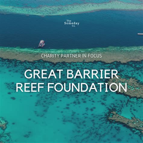 Charity Partner in focus: The Great Barrier Reef Foundation – The Someday Co