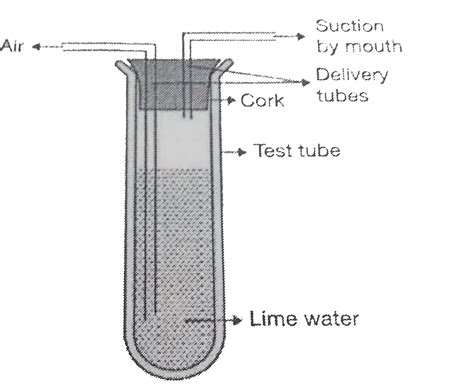 In an experiment, carbon disulphide was added to a test-tube containing a mixture of iron ...