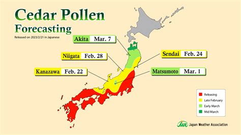 Cedar Pollen Forecast 2023 (Part 1): Pollen Dispersal to Start in Kyushu, Chugoku, and Kanto ...