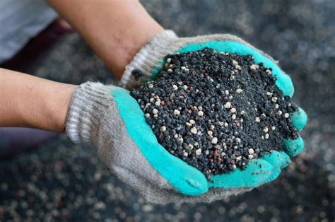 Los abonos químicos para plantas