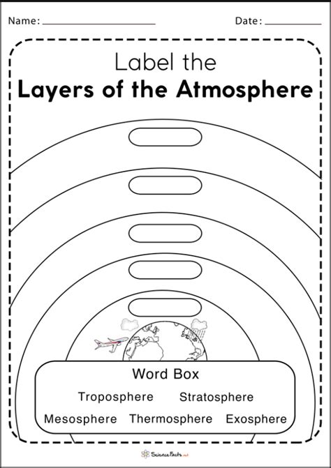 Bio Quiz Diagram | Quizlet