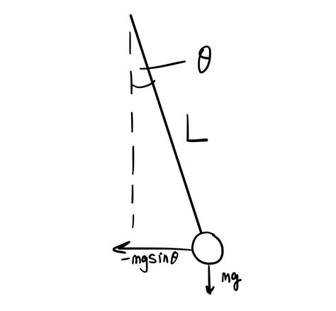 Show that the oscillation of a pendulum is a simple harmonic? | Socratic