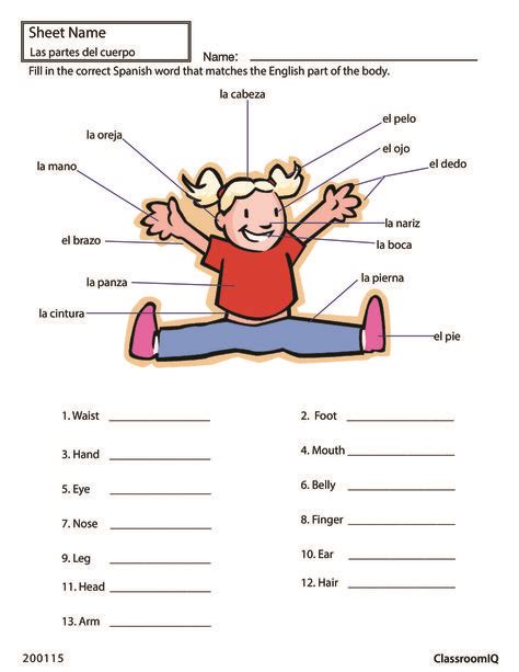 Pin by Isabel Enriquez on Education | Body parts in spanish, Spanish worksheets, Spanish ...