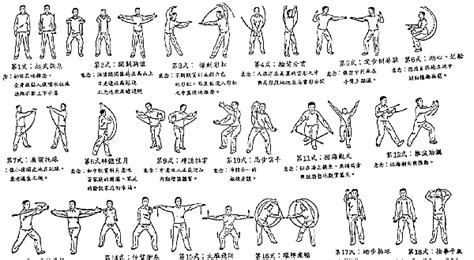 Pin su Qigong Exercises