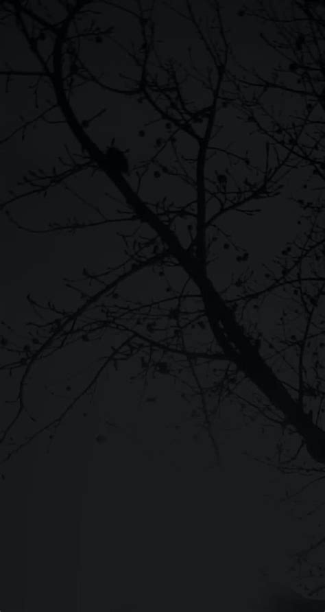 Idowpp by trc, aesthetic, tree, trees, black, black aesthetic, bytrc ...