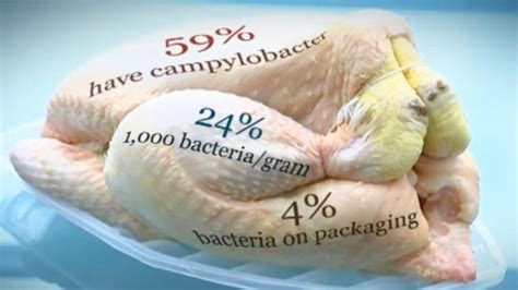 Researchers build new risk model to improve campylobacter outbreak ...