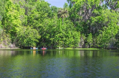 Navigating Alachua Sink | Florida Paddle Notes