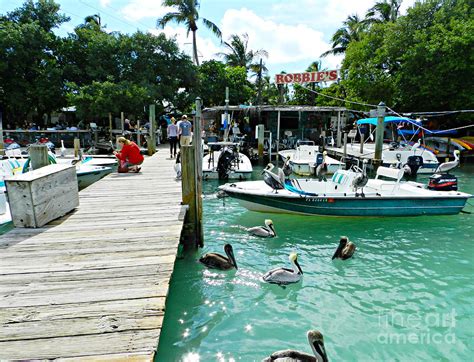 Robbies Of Islamorada Photograph by Tammy Chesney