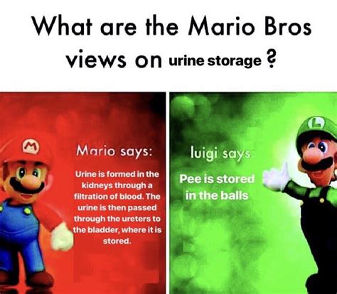 Pee IS Stored in the balls | Mario Bros. Views / Mario Says | Know Your ...