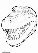 Nile Crocodile coloring Pages  Free Printable sketch template