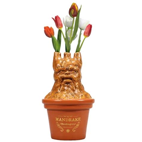 Harry Potter Mandrake Plant Ceramic Bud Vase | Happy Piranha