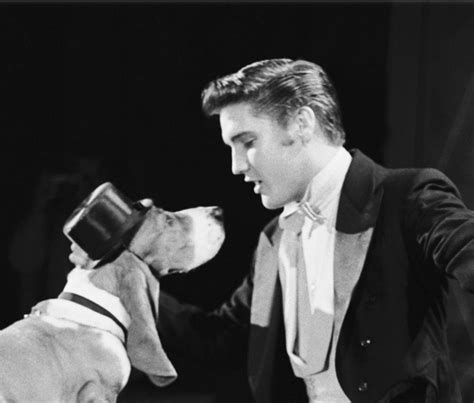 A Journal of Musical ThingsThe Day Elvis Sang to an Actual Hound Dog - A Journal of Musical Things