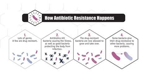 Antibiotic Resistance in Bacteria - Testing.com