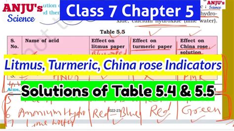 China Rose Indicator Class 7 || Litmus, Turmeric, China Rose Indicators ...