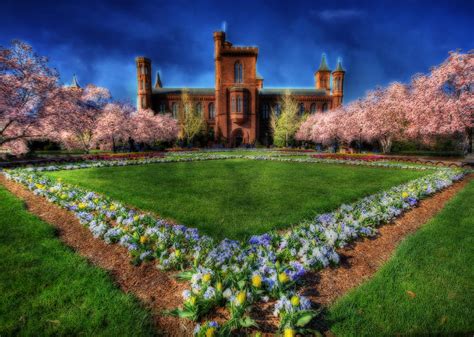 Spring Blooms in the Smithsonian Castle Garden Photograph by Shelley Neff - Fine Art America