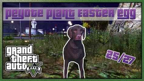 GTA 5 Peyote Plant Easter Egg Location 25/27 'Dog' (NEXT GEN GTA V GAMEPLAY) - YouTube