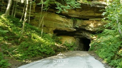 scenic drives at red river gorge daniel boone national forest | The Nature Seeker