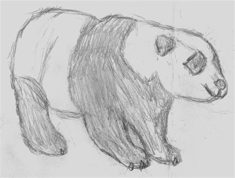 Second Observational Drawing Blog - Daniel Jacobs: Week 8 - Non-human ...