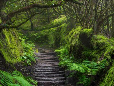 Explore the hiking trails in Tenerife and their hidden wonders