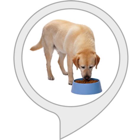 Amazon.com: The Dog Feeder : Alexa Skills