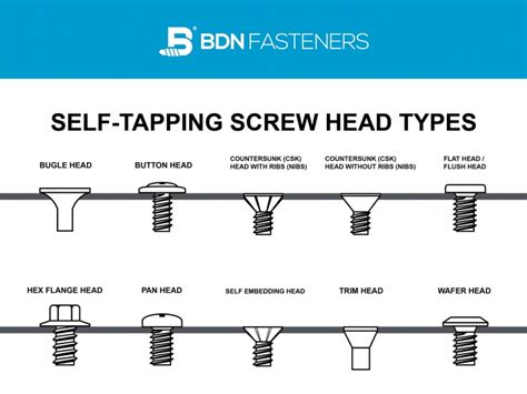 10 Different Self-Tapping screw head types | BDN Fasteners